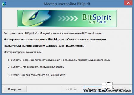 BitSpirit – Продвинутый торрент-клиент